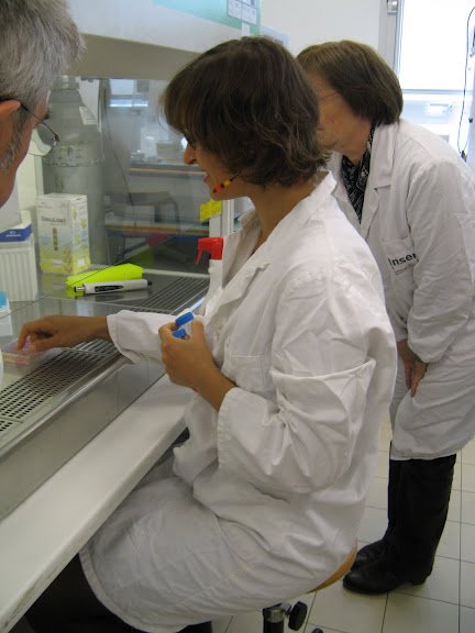 Stage en laboratoire 2012