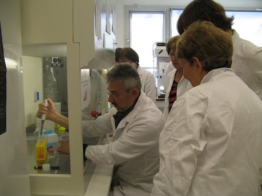 Stage en laboratoire 2012