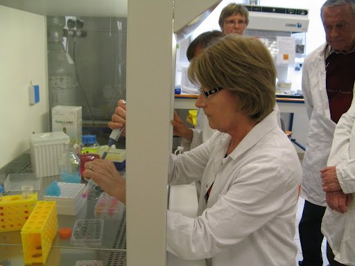 Stage en laboratoire 2012