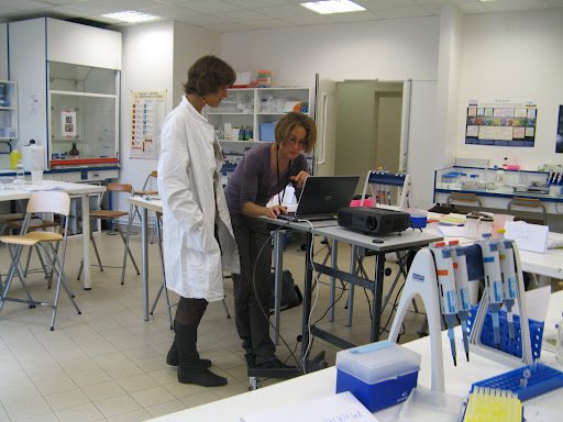 Stage en laboratoire 2012