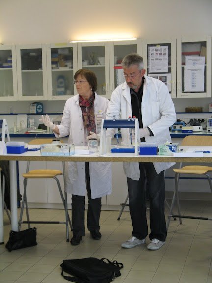 Stage en laboratoire 2012