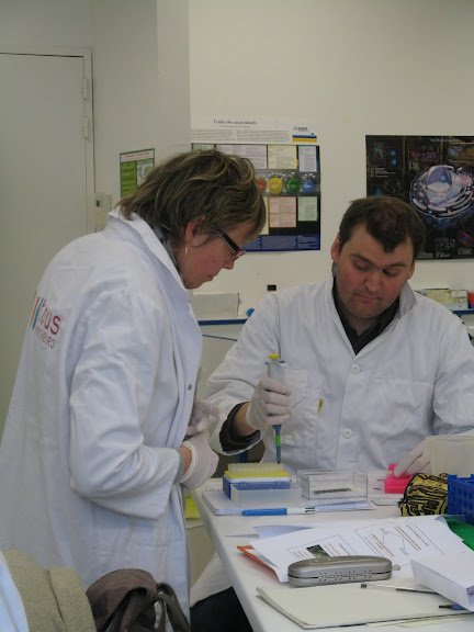 Stage en laboratoire 2012