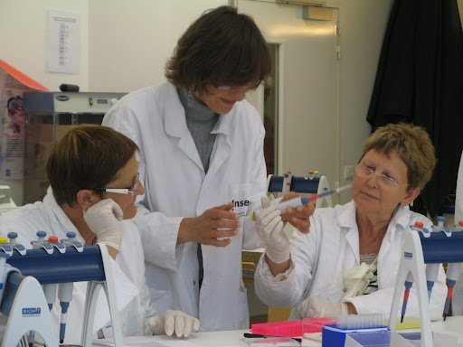 Stage en laboratoire 2012