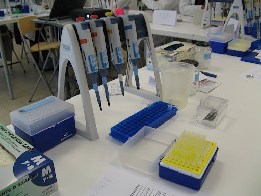 Stage en laboratoire 2012