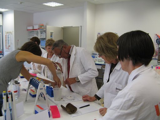 Stage en laboratoire 2012