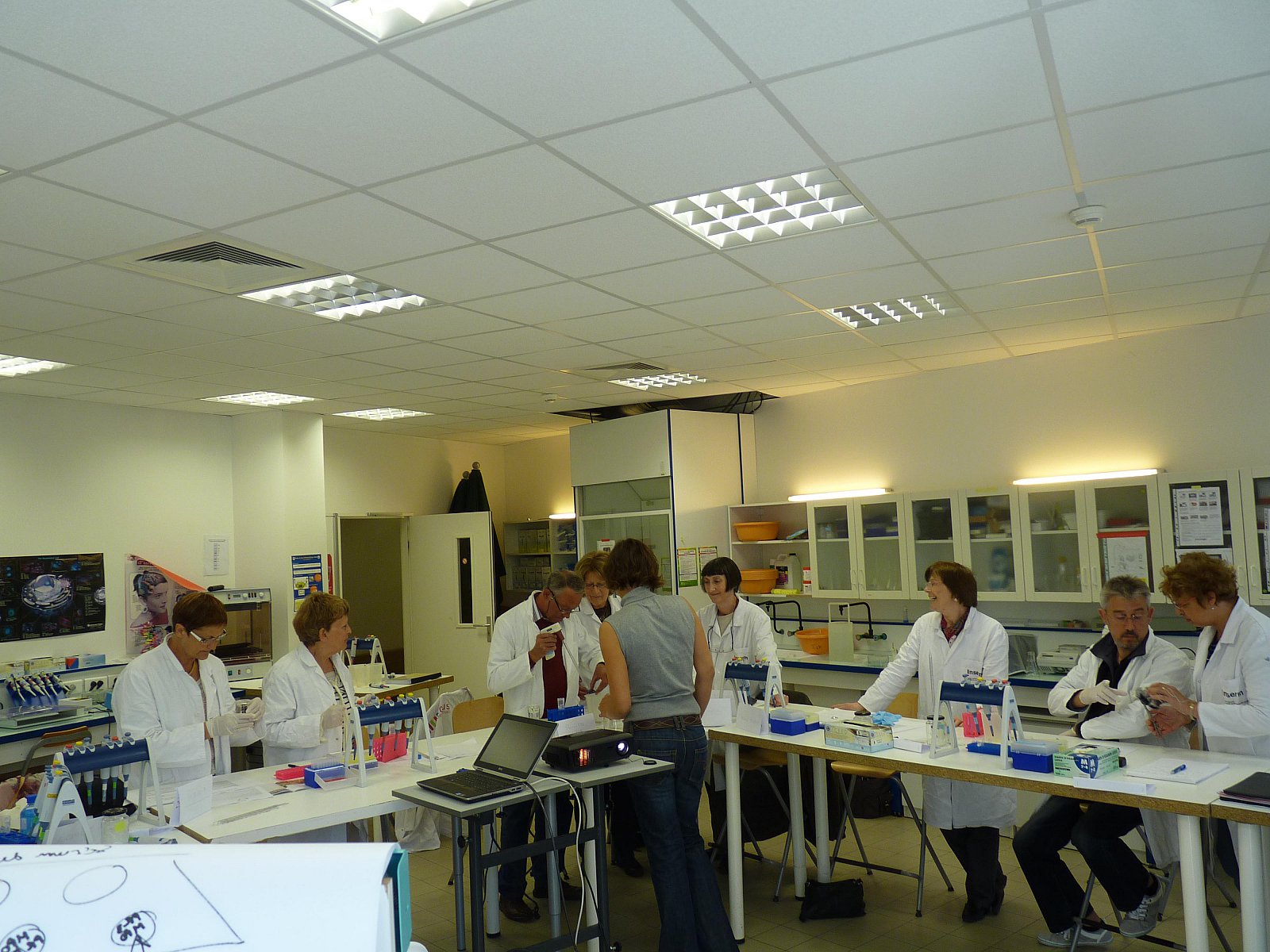 Stage en laboratoire 2012