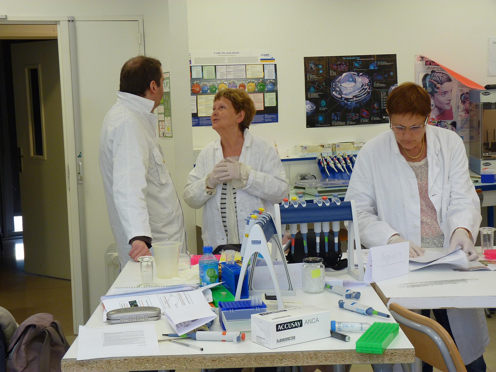 Stage en laboratoire 2012