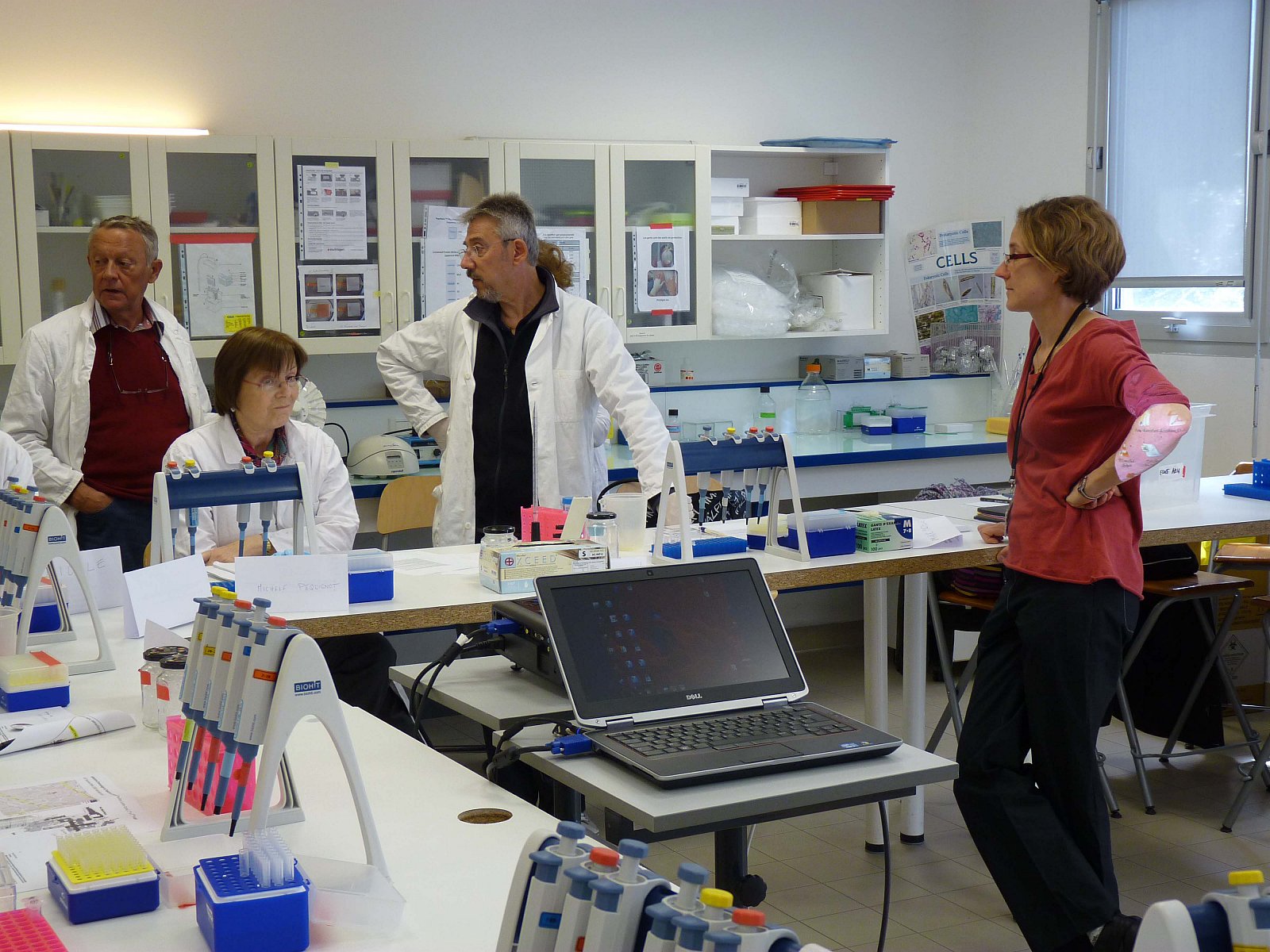 Stage en laboratoire 2012
