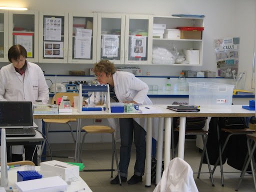 Stage en laboratoire 2012