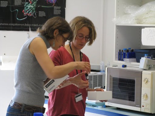 Stage en laboratoire 2012