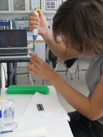 Stage en laboratoire 2012