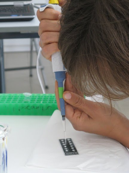Stage en laboratoire 2012