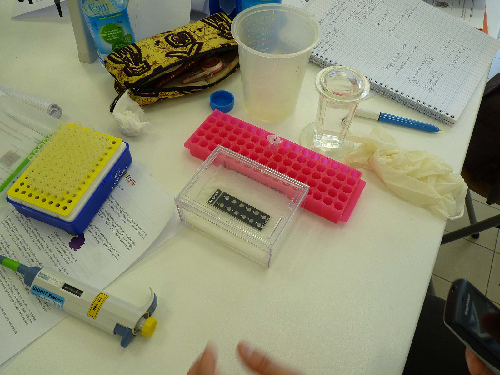 Stage en laboratoire 2012