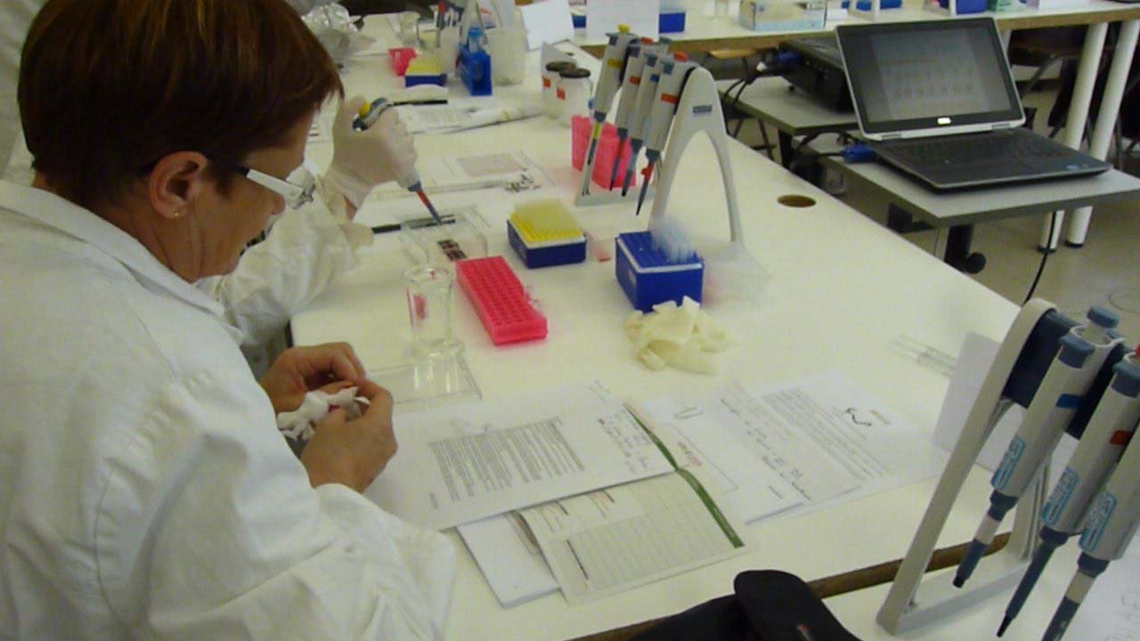 Stage en laboratoire 2012