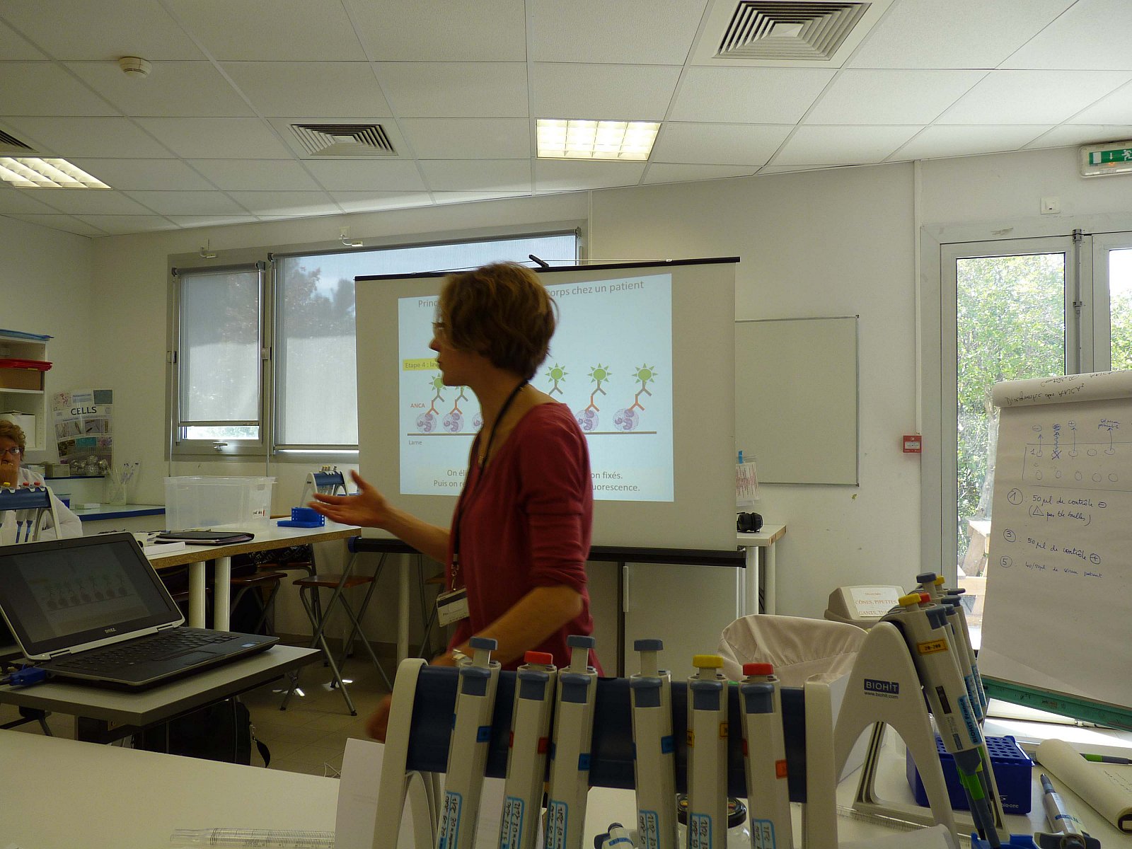 Stage en laboratoire 2012
