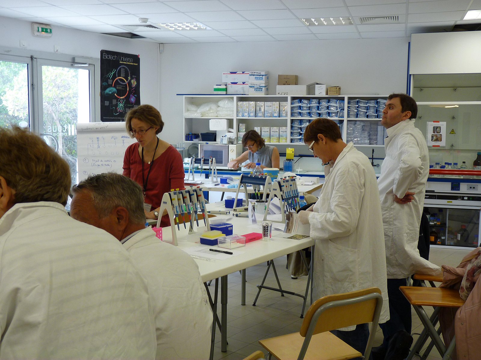 Stage en laboratoire 2012