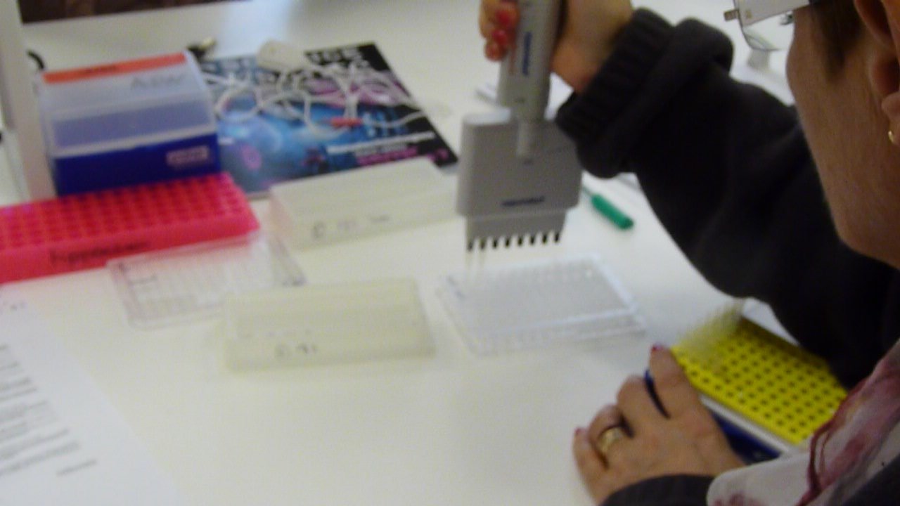 Stage en laboratoire 2012