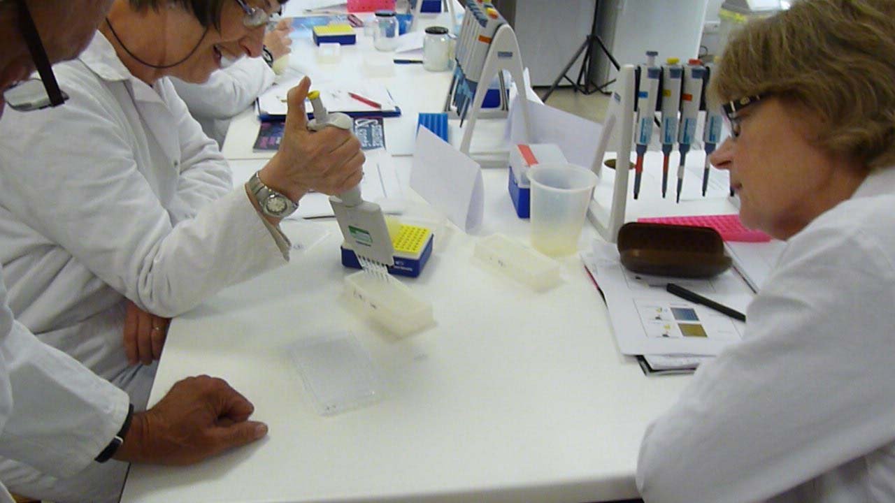 Stage en laboratoire 2012