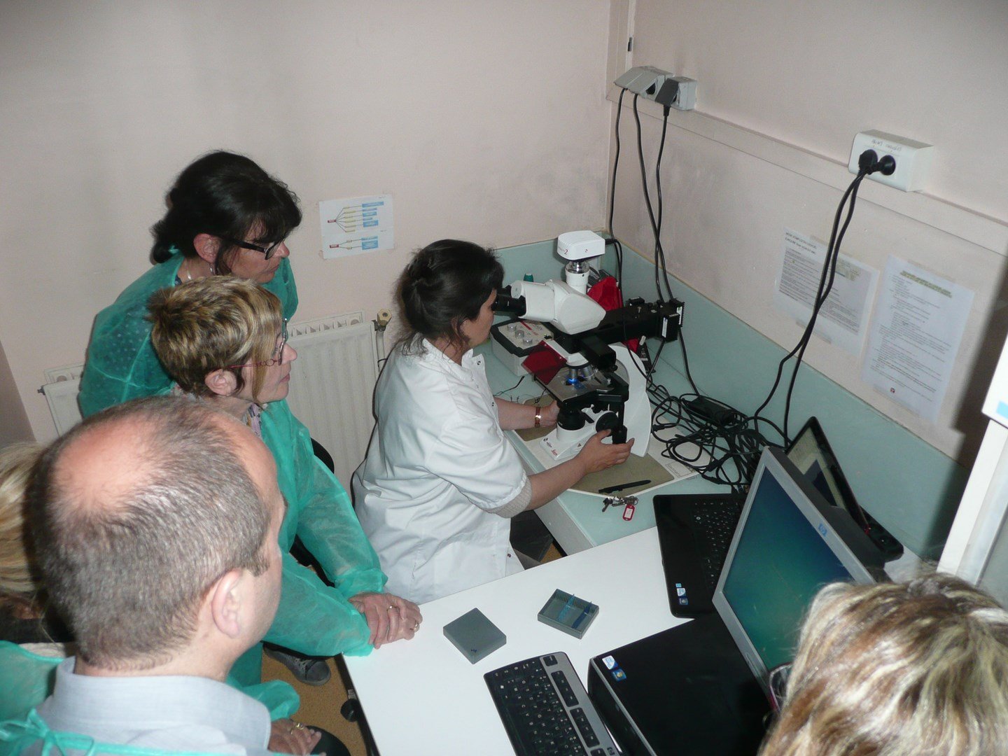 Stage en laboratoire 2013