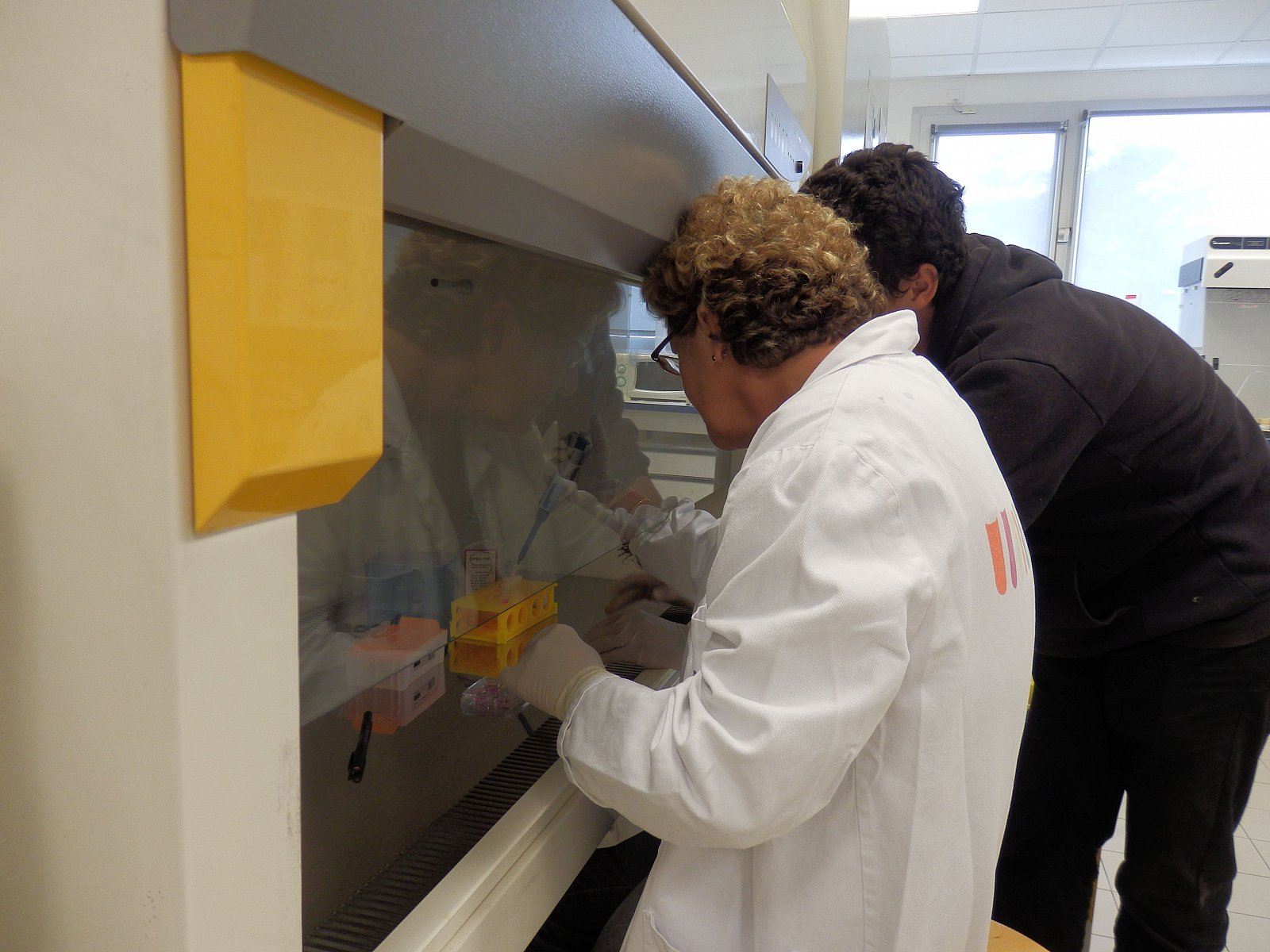 Stage en laboratoire 2014