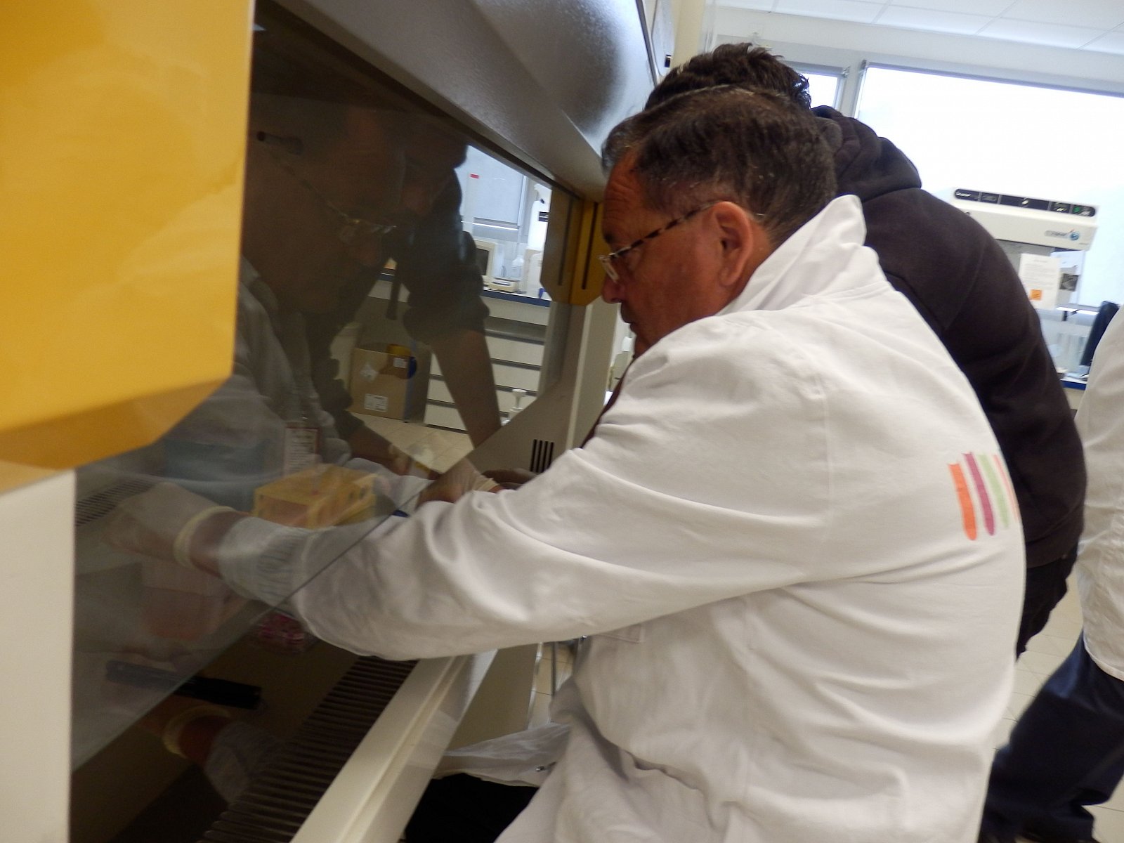 Stage en laboratoire 2014