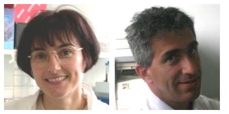 equipe neutro