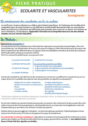 Scolarité enseignants mini